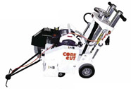 CC1310E3XL-20 Small Walk Behind Saws